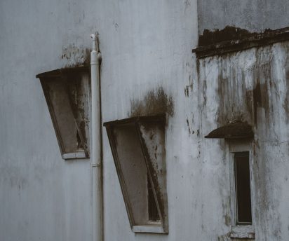 Weathered New Orleans home exterior showing siding surface at risk for mold and mildew growth